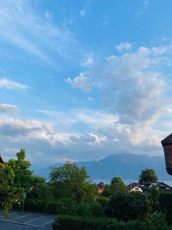 Villa Magnifique maison avec vue sur lac Léman à Saint-Legier-La Chiesaz Extérieur photo